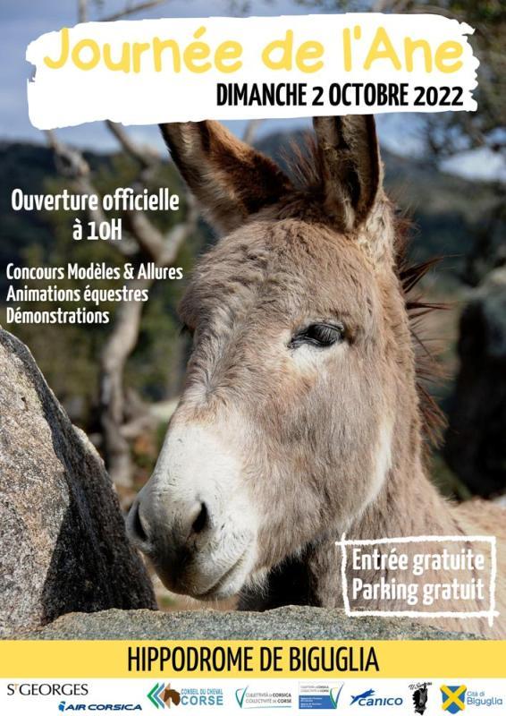 Journée de l'âneCheval